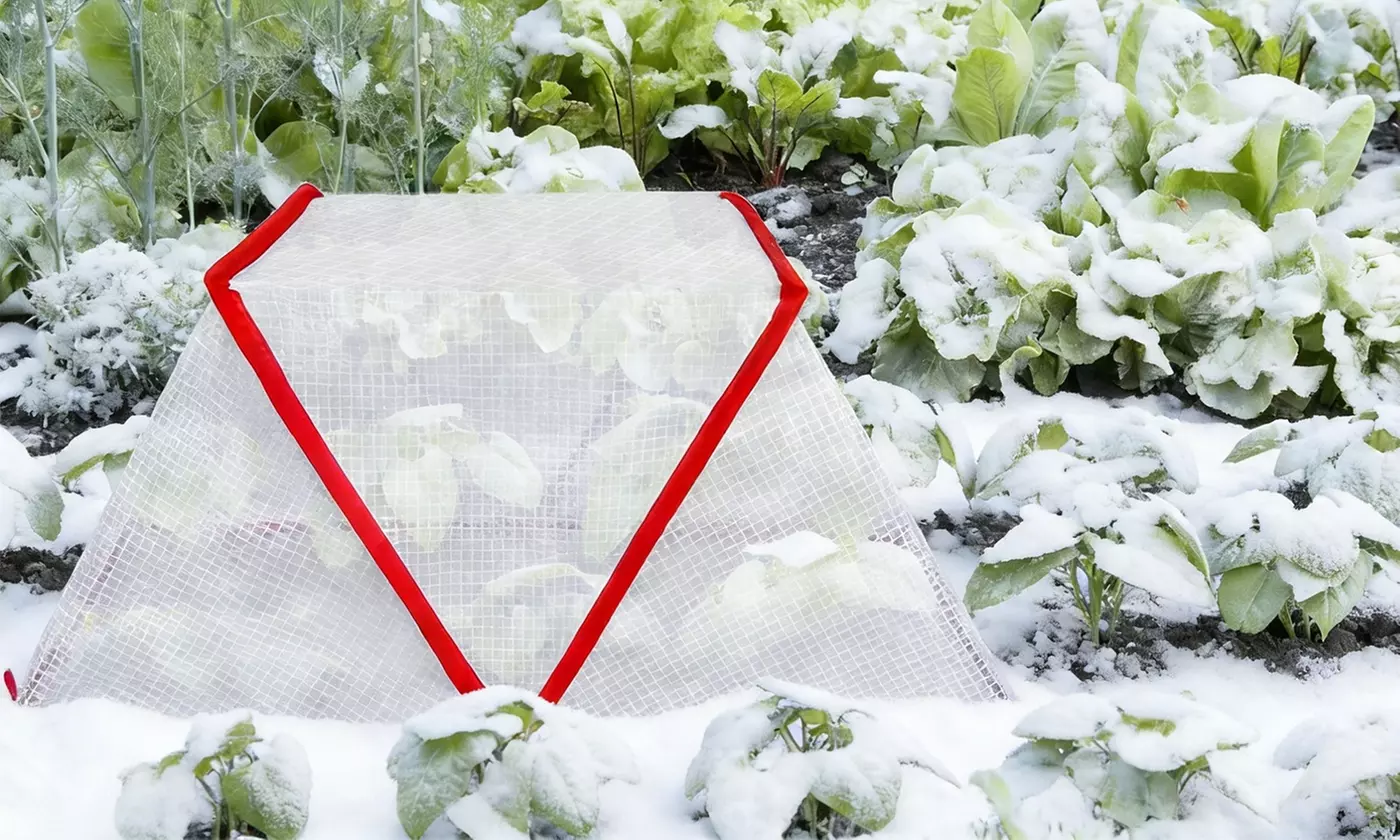 LakeForest Home Gardening & Irrigation Collection