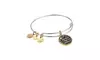 Alex and Ani Harry Potter, IT'S OUR CHOICES TWO TONE Bangle  w/ Tag Card & Box
