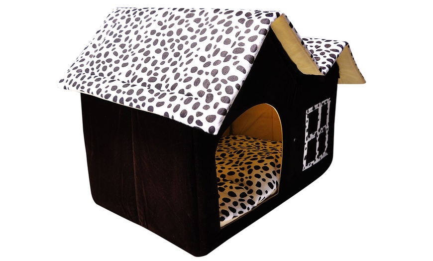 how to introduce a dog into a cat house