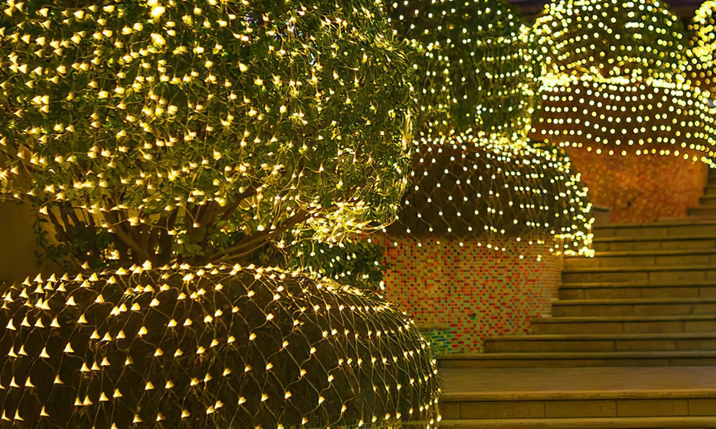 Christmas LED Lights - Snowman Family & Reindeer Family Holiday Decorations