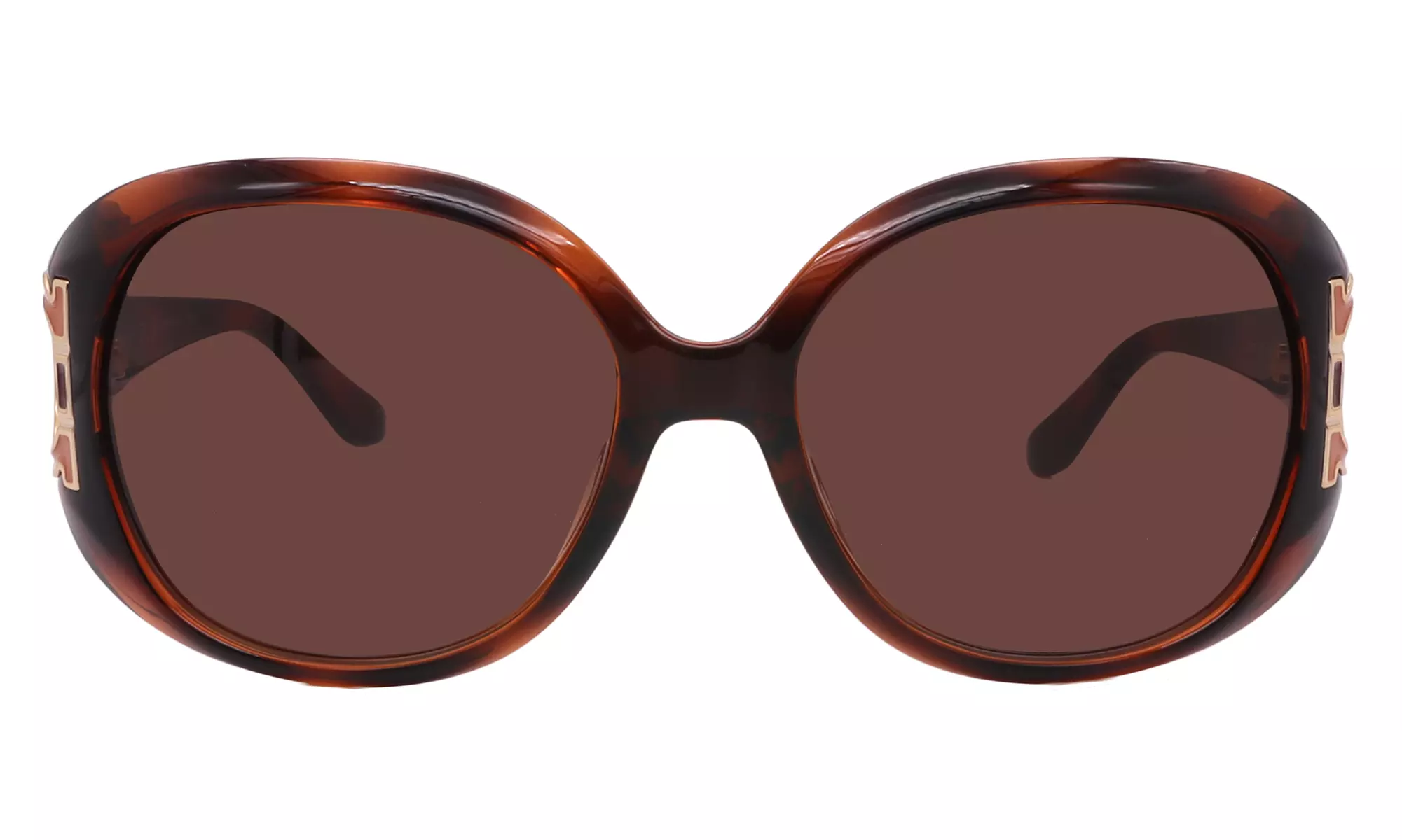 Salvatore Ferragamo Sunglass Collection