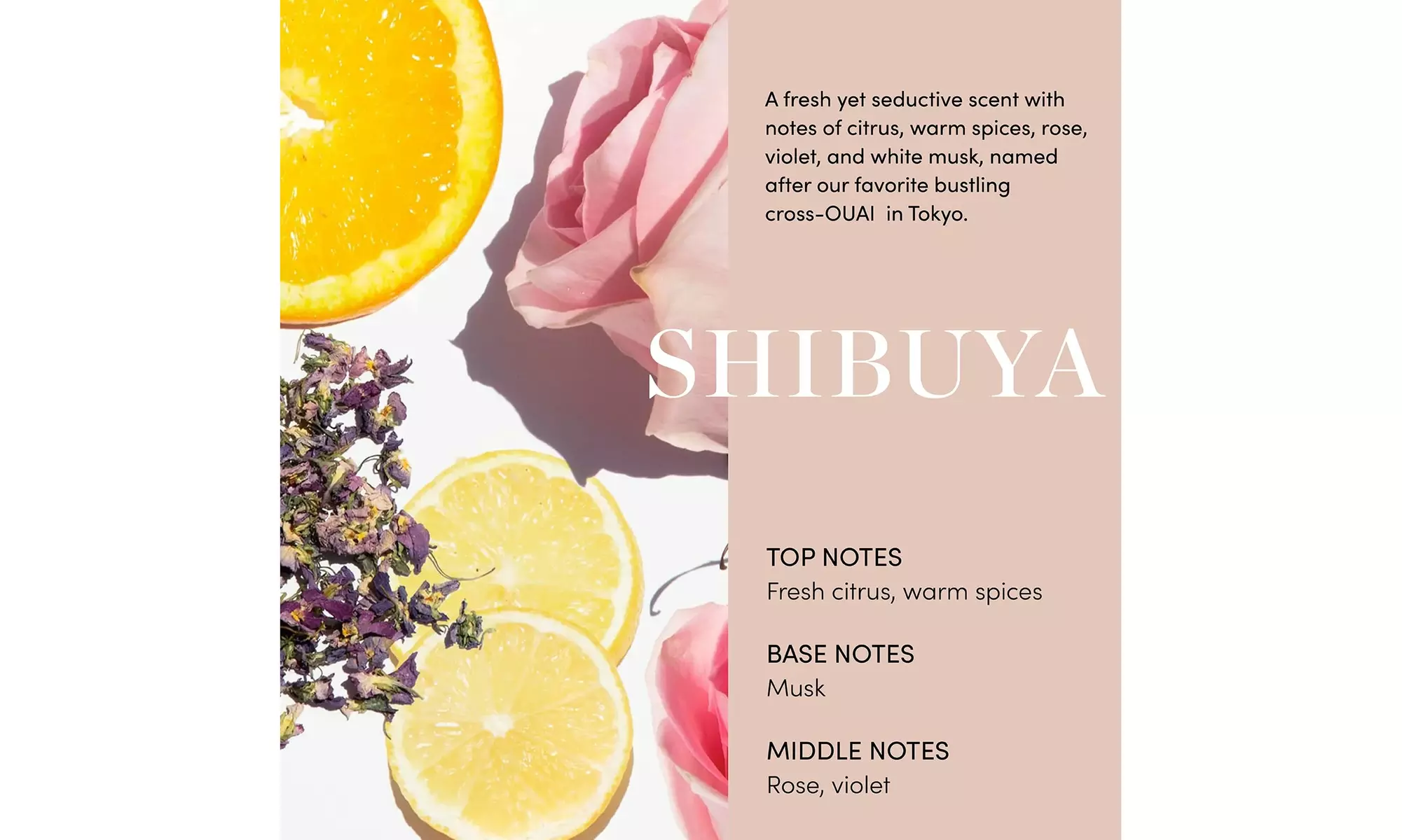 OUAI Moisturizing Body Cream - Premium Sulfate-Free Whipped Body Butter