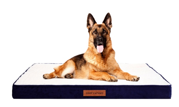 Groupon orthopedic dog clearance bed