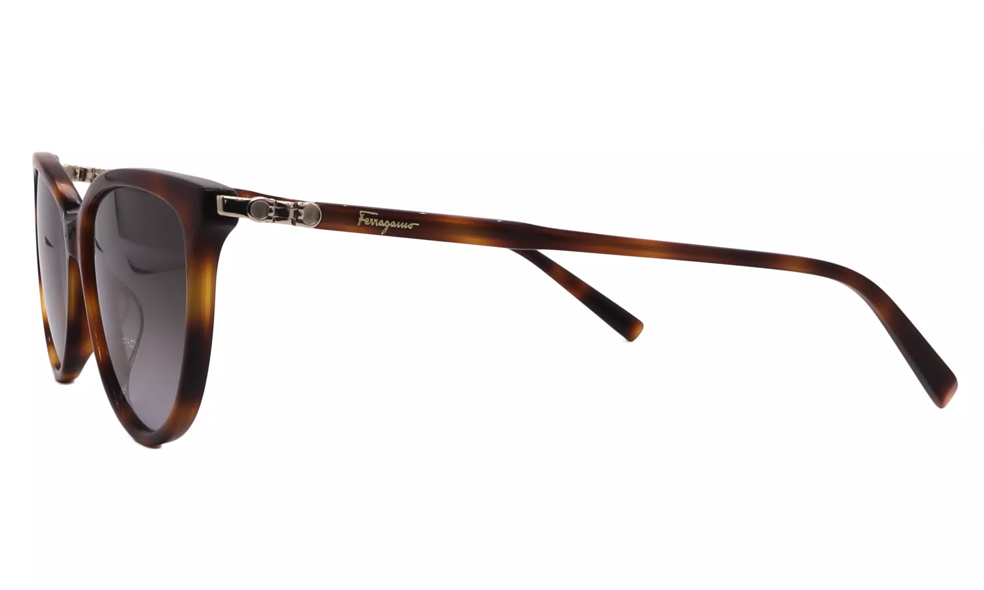 Salvatore Ferragamo Sunglass Collection