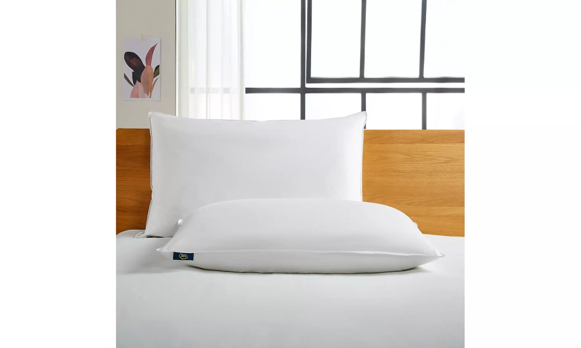 Serta Back-Sleeper White Goose Feather & Down Fiber Pillows (2-Pack)
