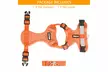 Soft Mesh Dog Harness Leash Set No-Chock Step-in Reflective Vest Harnesses - Second Medium