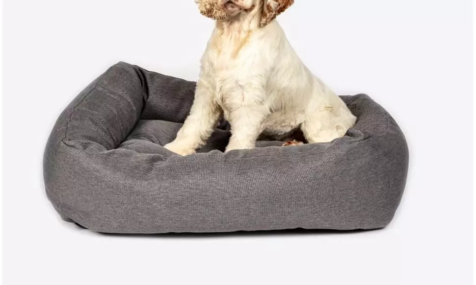 Anti-Bacterial Grey Snuggle Bed