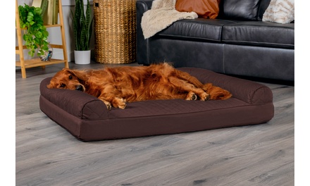 Animal planet memory foam sofa pet bed hotsell