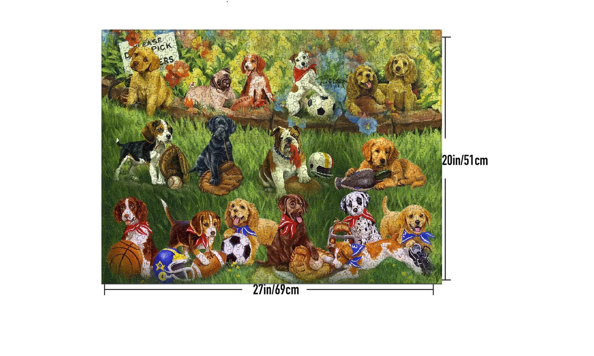 1000-Piece Jigsaw Puzzles For Adult & Kid Holiday Gift - Dog Puppy Sport Game - Second Medium