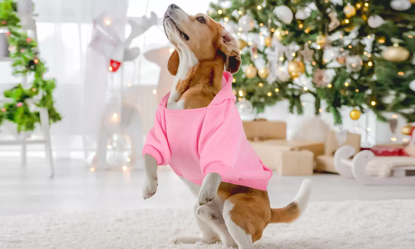 Winter Dog Hoodie Sweatshirts with Pockets Warm Dog Clothes for Small Dogs
