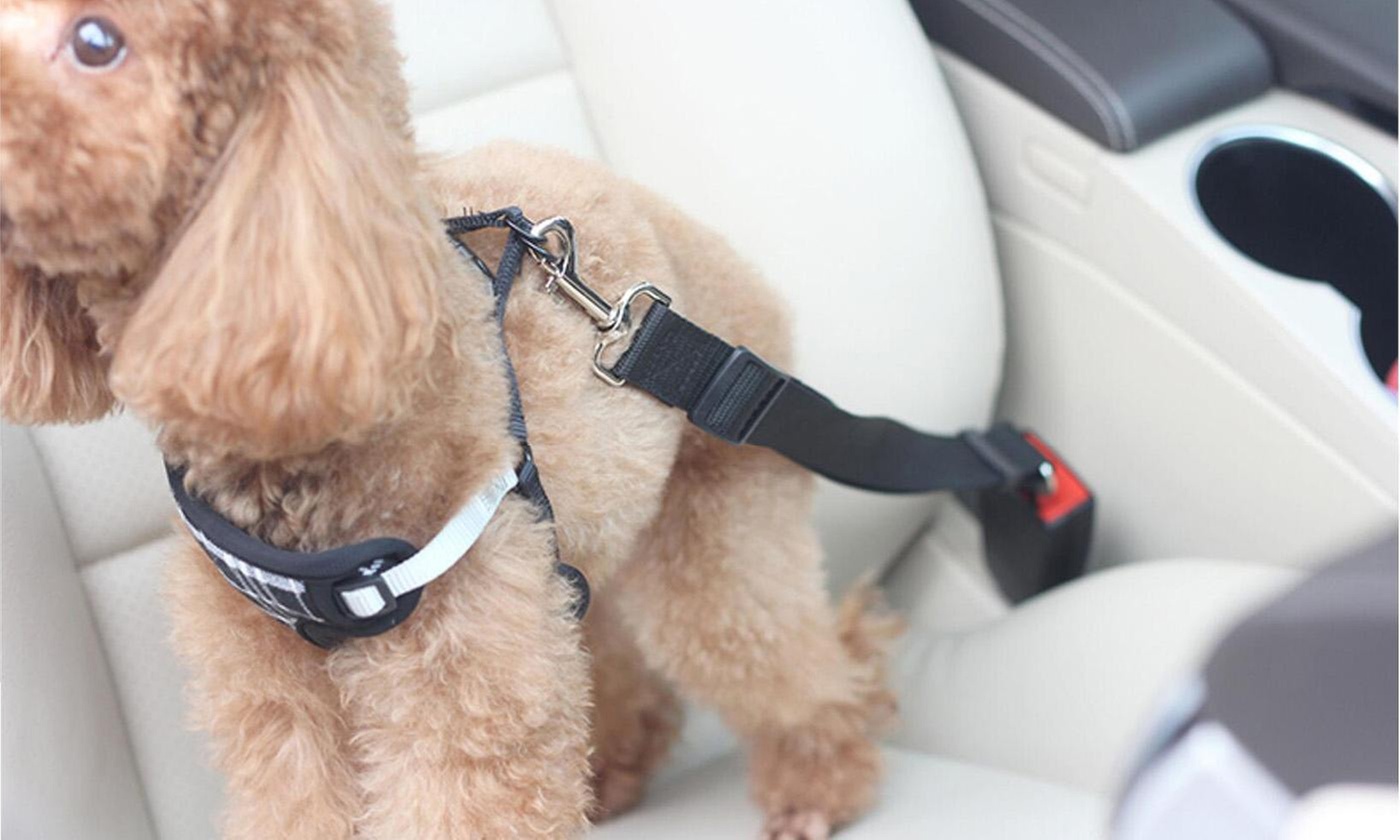 iMounTEK Adjustable Dog Car Seat Belt for Safe & Secure Pet Travel (2-Pack)