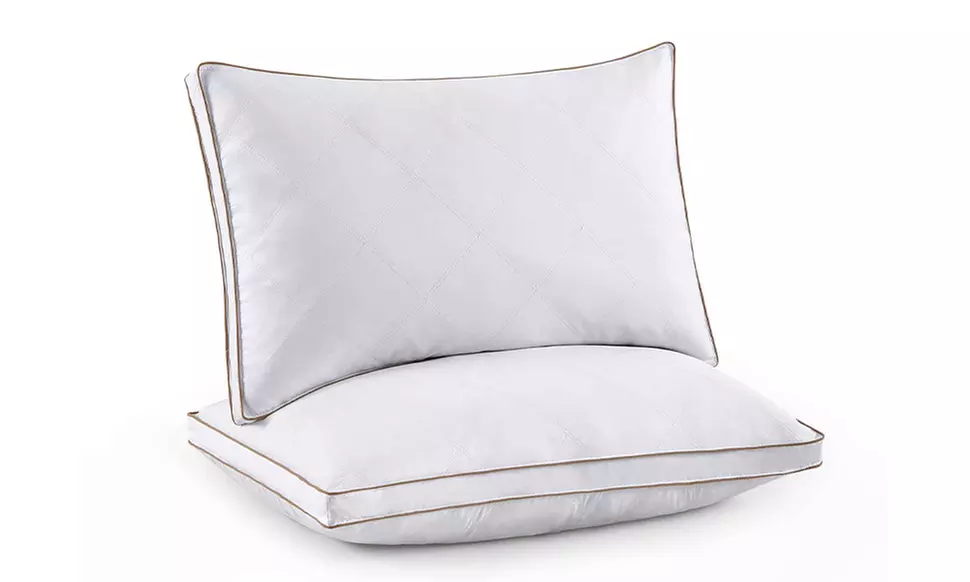 Peace Nest 2 Pack White Goose Feather and Down Pillows