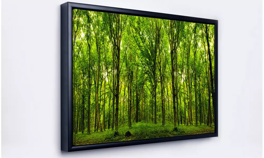 Green Forest - Landscape Photo Framed Canvas Art Print - Second Medium