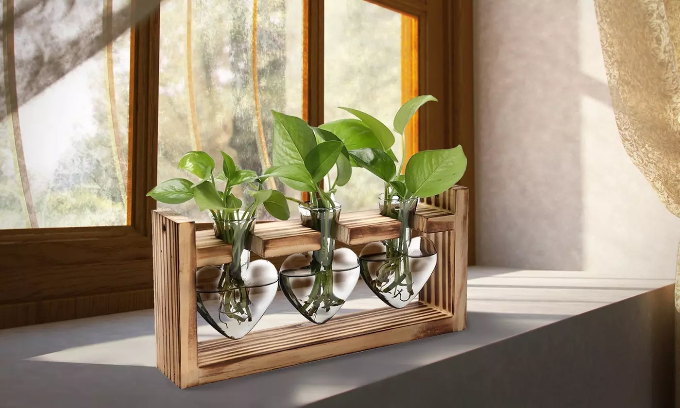iMounTEK Glass Bulb Terrarium Propagation Station with 3 Vases and Wood Stand
