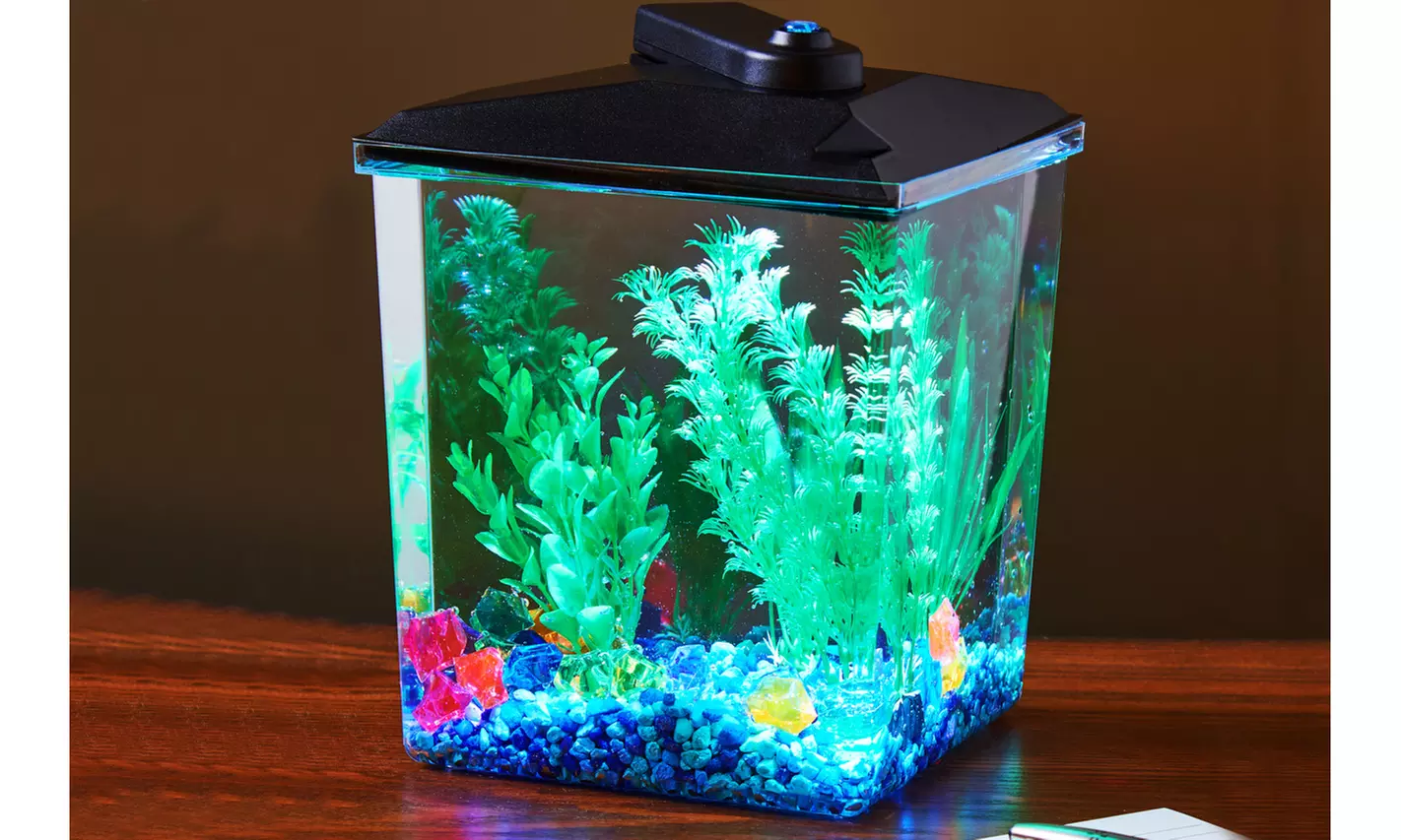 New 1-Gallon Betta Aquarium Kit, LED Light, Power Filter And Betta Fish Tank - Second Medium