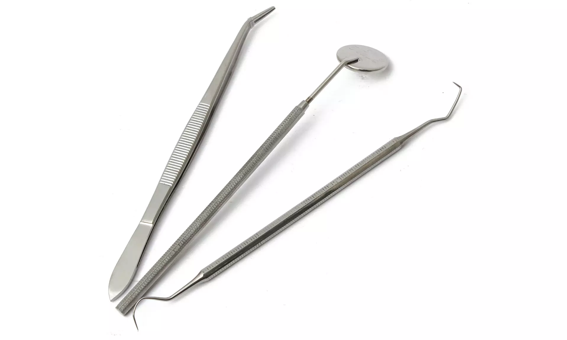 Surgical Grade Stainless Steel Dental Hygiene Kit (3-piece)