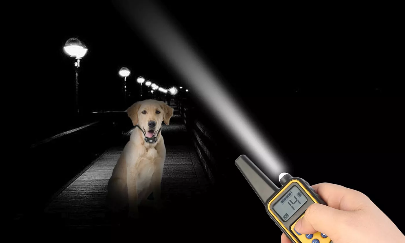 iMounTEK Waterproof Vibration and Shock Dog Training Collar