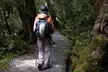 LakeForest Pack of Two Aluminum Adjustable Trekking Poles - Second Medium