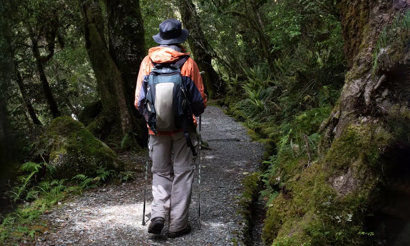 LakeForest Pack of Two Aluminum Adjustable Trekking Poles