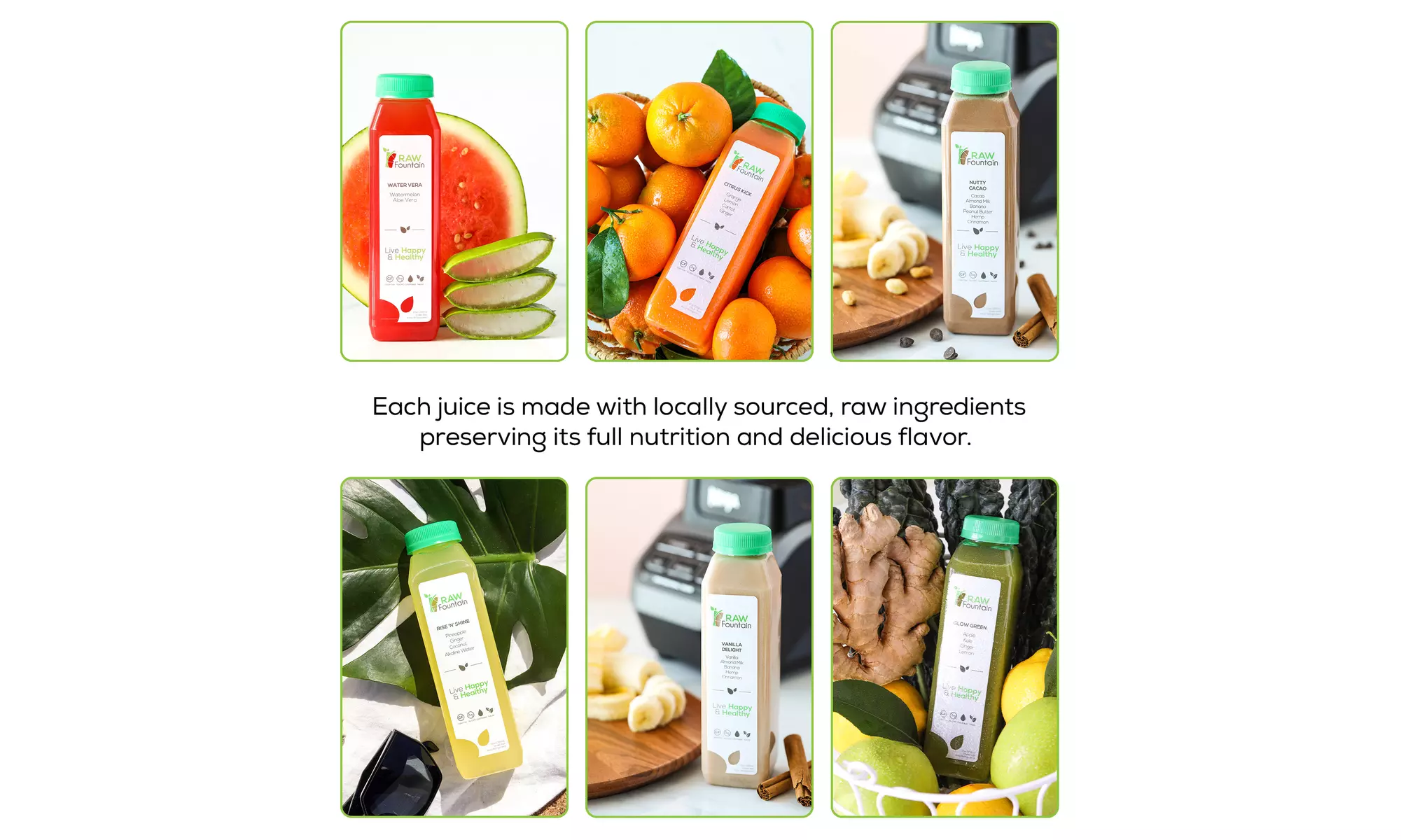 RAW Fountain Protein Juice Cleanse Detox Natural & RAW 1, 3, 5, 7-Day