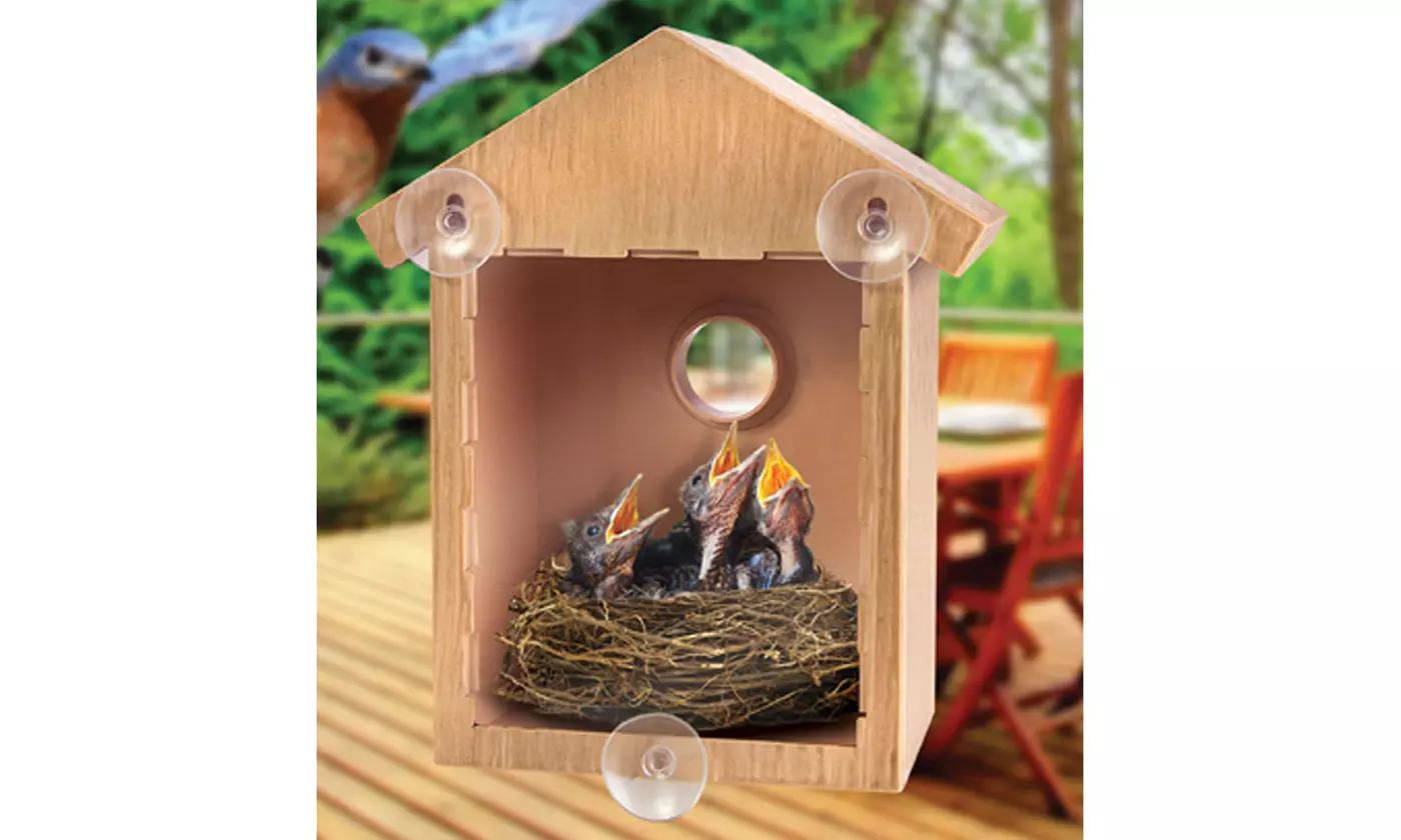 See Through Window Mirrored Bird House - Suction Cup Window Bird House - Second Medium
