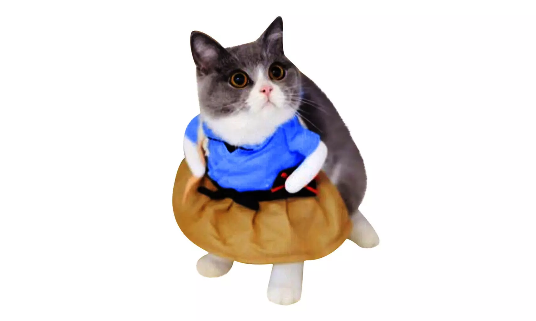 Pet Funny Cat Costumes Clothing Dress Clothes Cosplay  - Primary Image