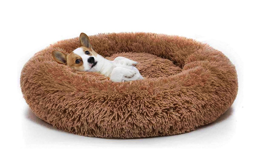 bed donut