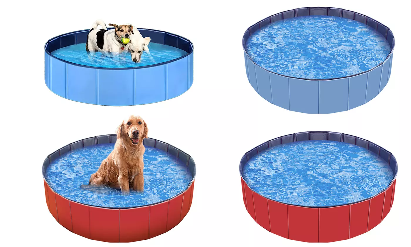 iMounTEK Foldable Pet Dog Pools Collapsible Hard Plastic Pets Swimming Pool - Primary Image