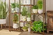 NewHome Multi-Tier Wooden Plant Stand with Tools - Second Medium