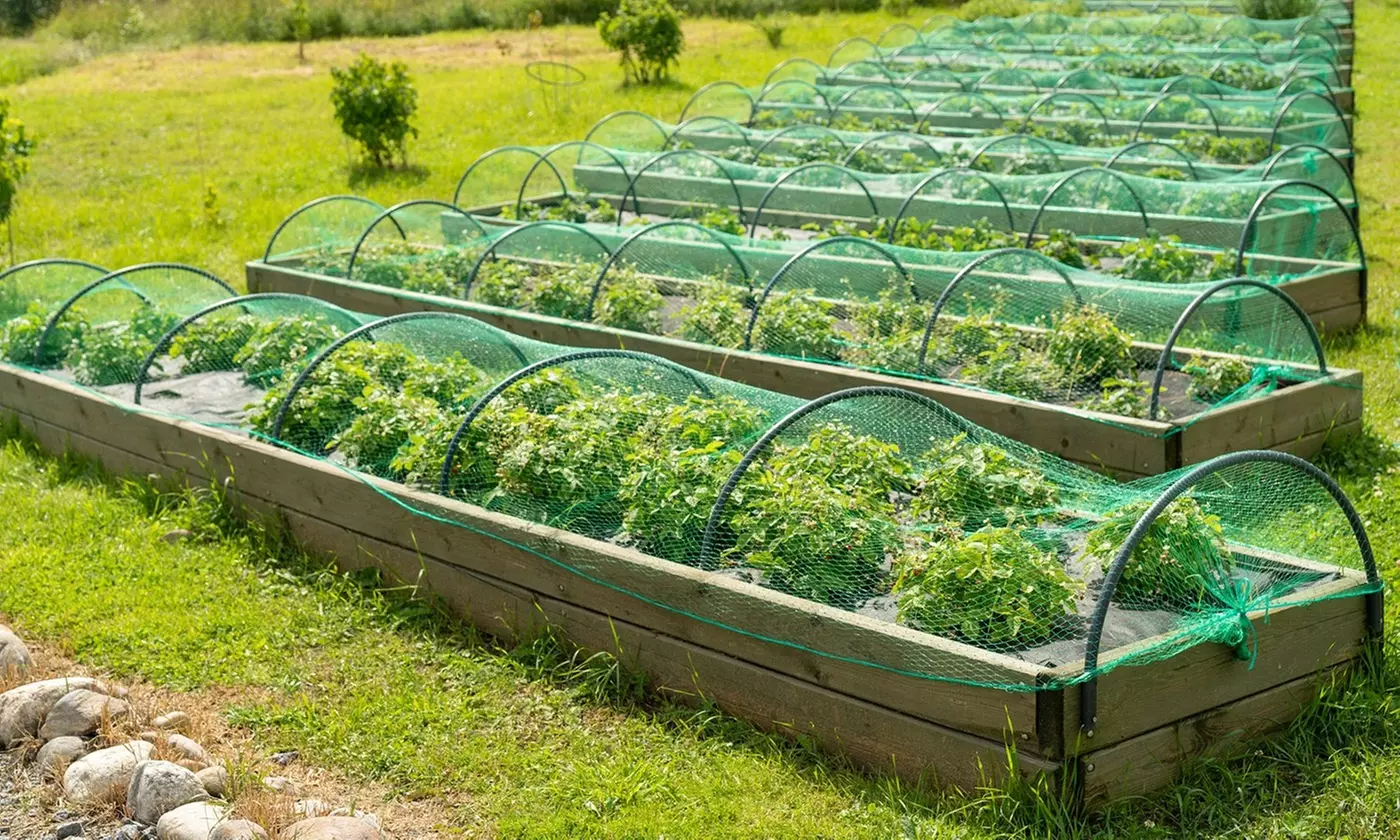 iMounTEK 13' x 33' Anti-Bird Garden Netting Protective Barrier Net for Plants
