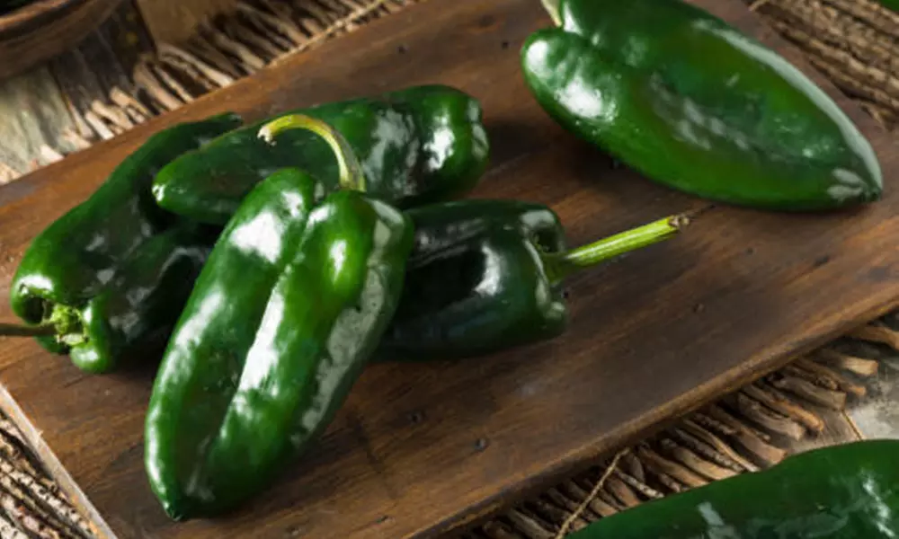 Poblano (Ancho) Pepper *Heirloom* (50 Seed's) NON GMO - Primary Image