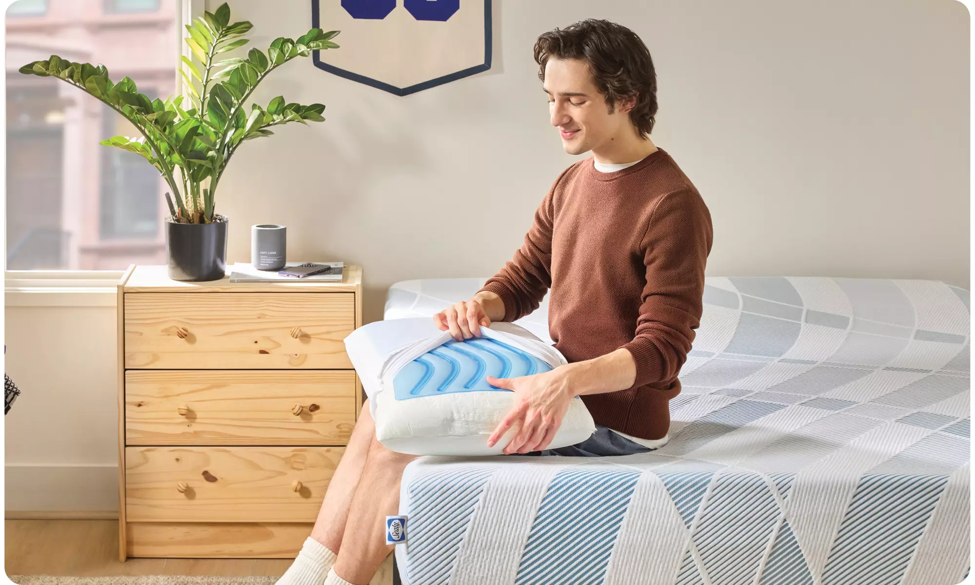 Sealy Dreamlife Memory & Shredded Foam Pillows (Single/Dual)