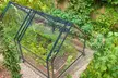 iMounTEK Mini Greenhouse with Roll-Up Doors and UV-Resistant Waterproof Cover - Second Medium
