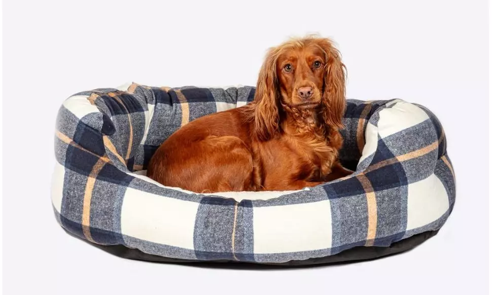 Bowmore Navy Deluxe Slumber Bed