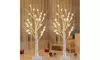 2FT Lighted Birch Tree for Home Decor Christmas Table Decor Birch Tree for Xmas