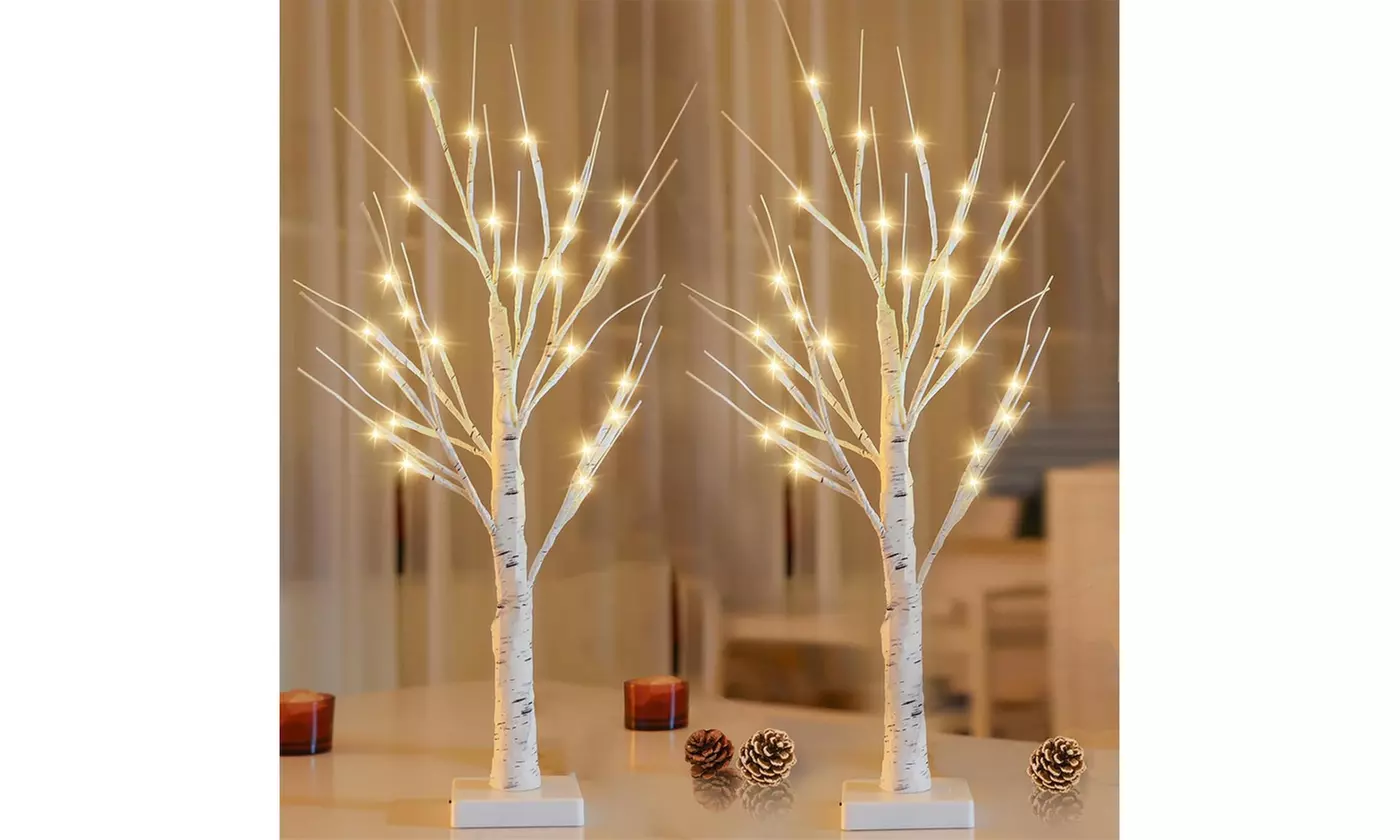 2FT Lighted Birch Tree for Home Decor Christmas Table Decor Birch Tree for Xmas - Primary Image