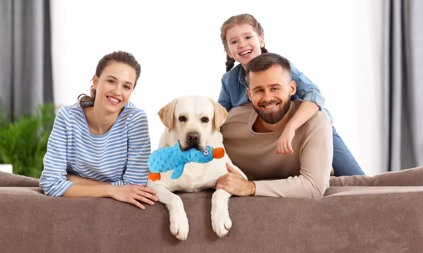 iMounTEK Duck Squeaky Dog Toys No-Stuffing Crinkle Plush for All Dogs (3pk)