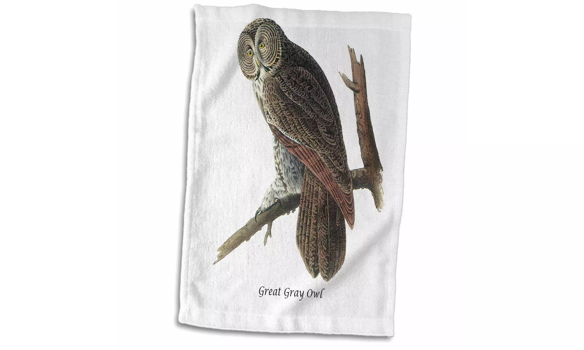  Towel - Great Gray Owl by John James Audubon - 15 by 22-inches  - Primary Image