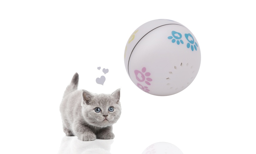 pet genius smart play rover cat toy