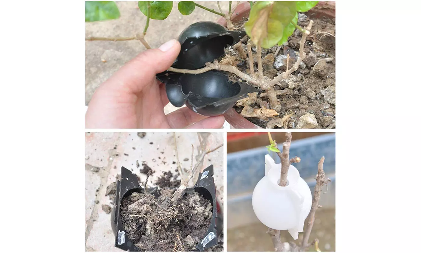 3 Pack High Pressure Plant Rooting Device Growing Ball Box