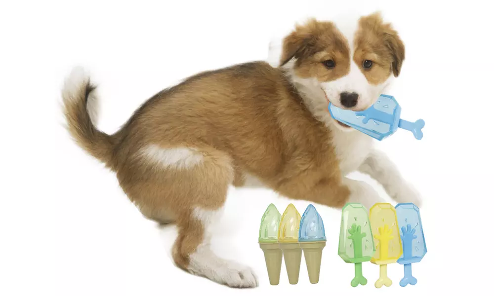 Pet Life Cooling Water Fillable & Freezable Rubber Dog Chew Teether Toys - Primary Image