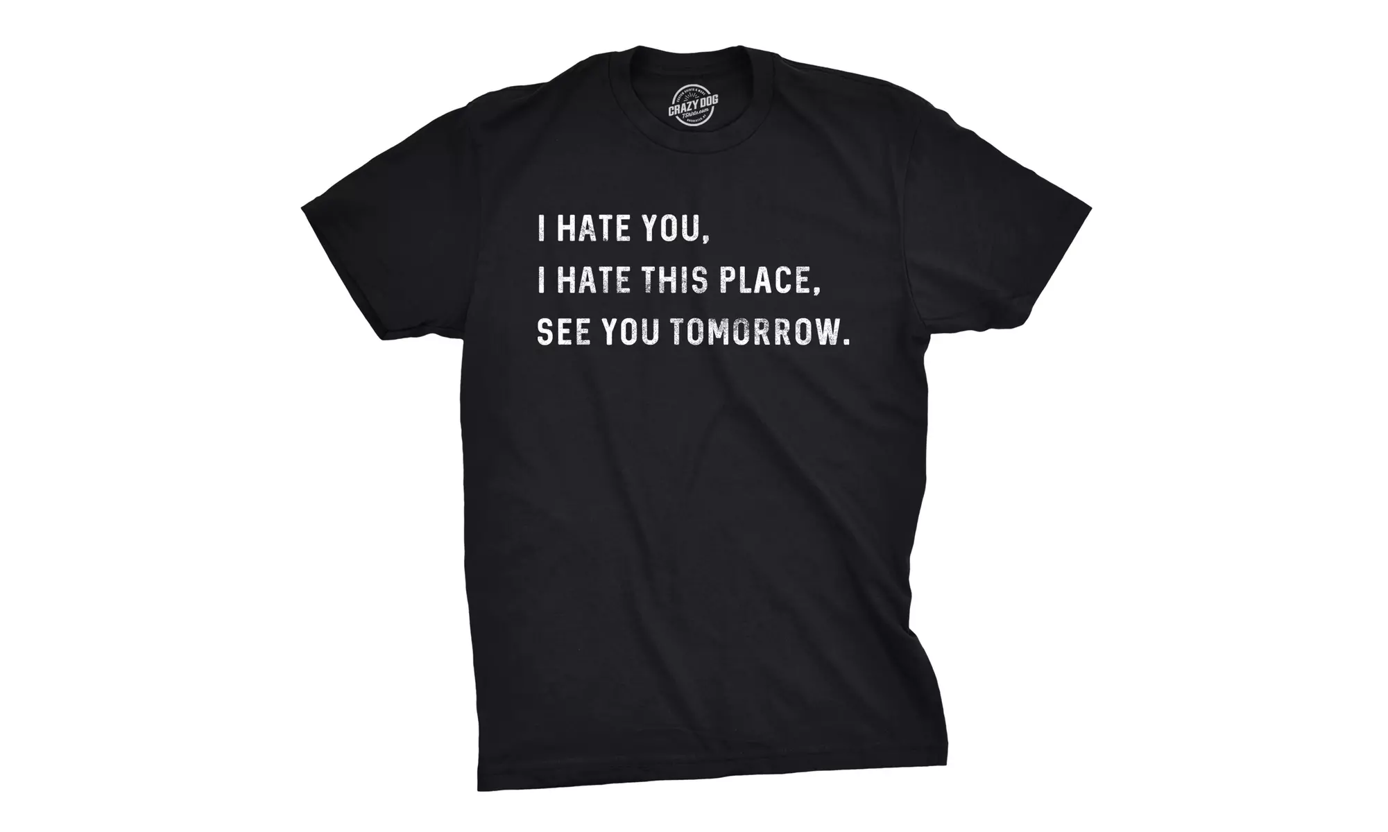 Mens I Hate You I Hate This Place See You Tomorrow Tshirt Funny Sarcastic Tee - Primary Image
