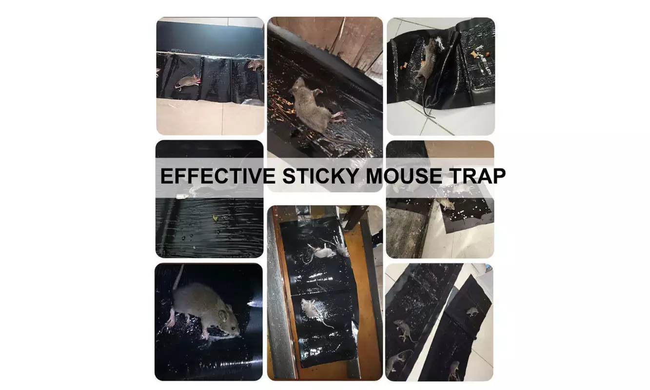 2Pcs Large Sticky Rat Traps Mouse Glue Traps Indoor Outdoor Catch Pest Trap