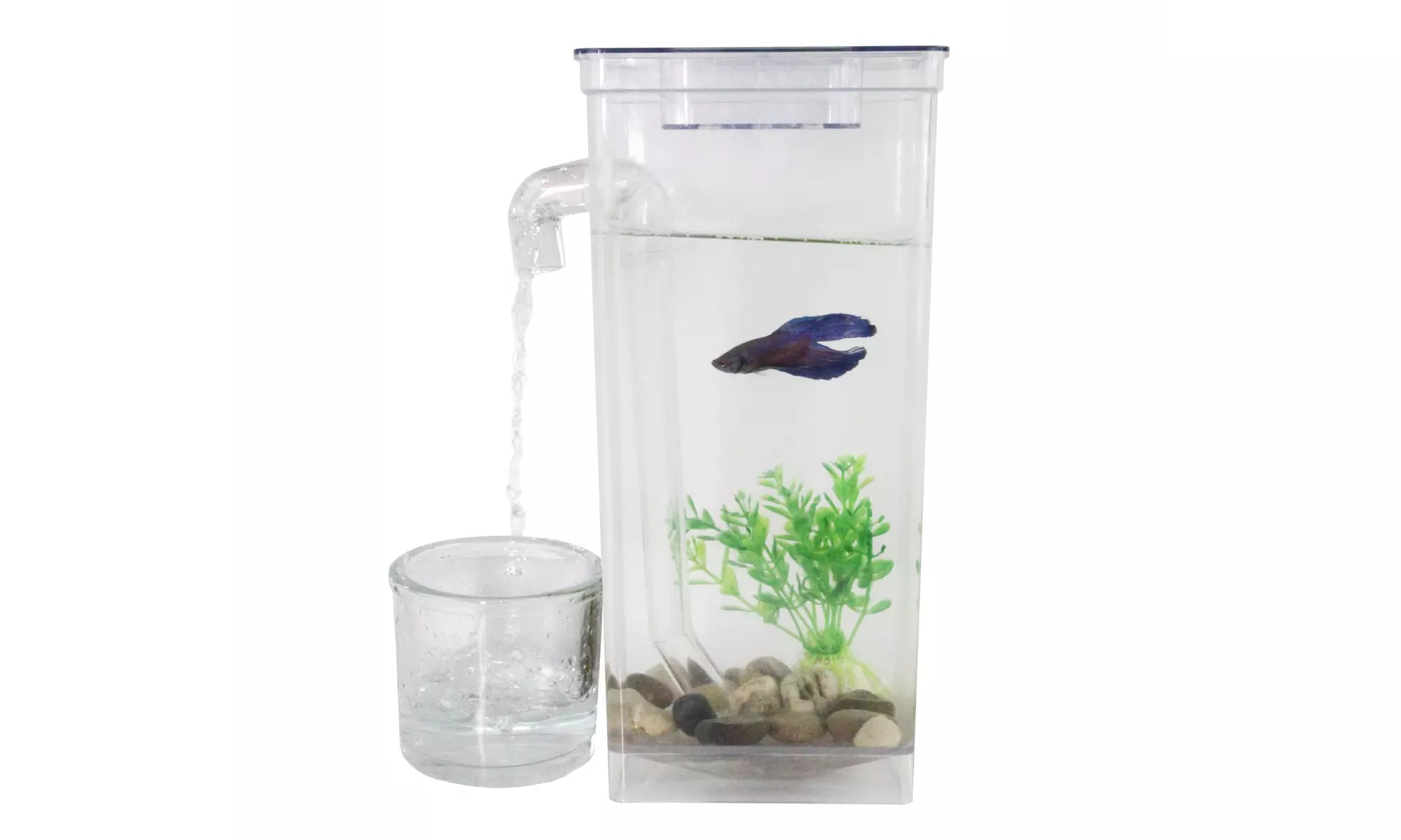 Self Cleaning Fun Fish Tank - Small Aquarium Desktop Bowl   - Primary Image