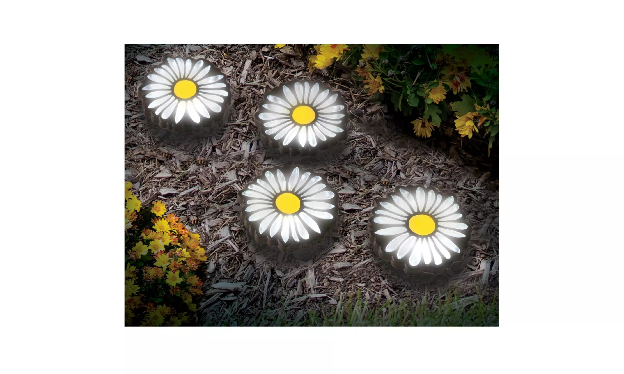 Daisy LED Solar Path Lights Set of 4 - Primary Image