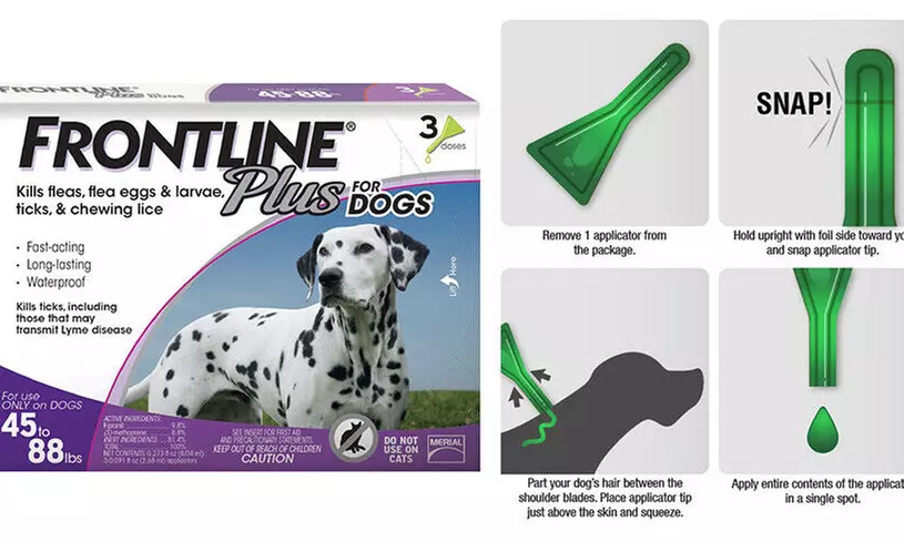 Frontline Plus for Dogs Large Dog(45-88 lbs)Flea and Tick Treatment - 3 Doses - Primary Image