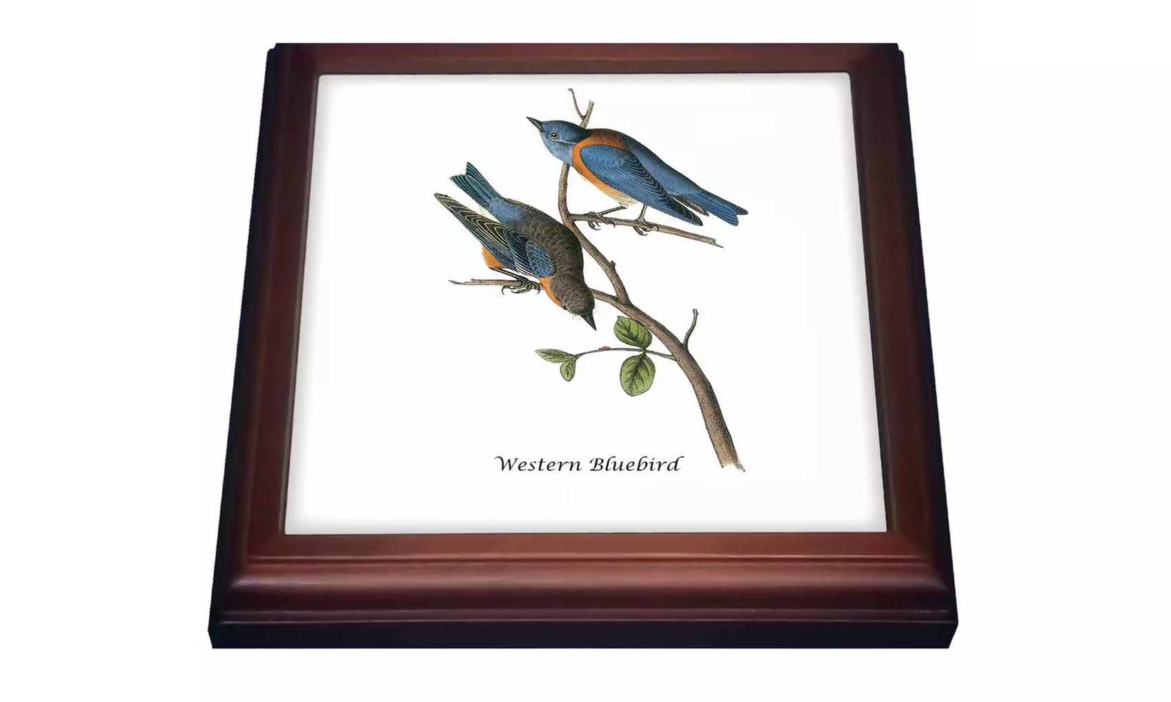  Trivet with TileWestern Bluebird by John James Audubon - Primary Image