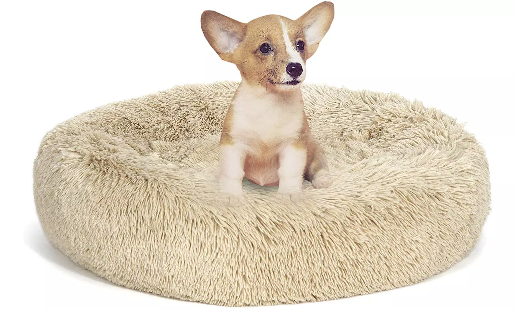 ZENY 23 inch Pet Bed for Dogs & Cats, Anti-Slip, Machine Washable, Ultra Soft - Primary Image