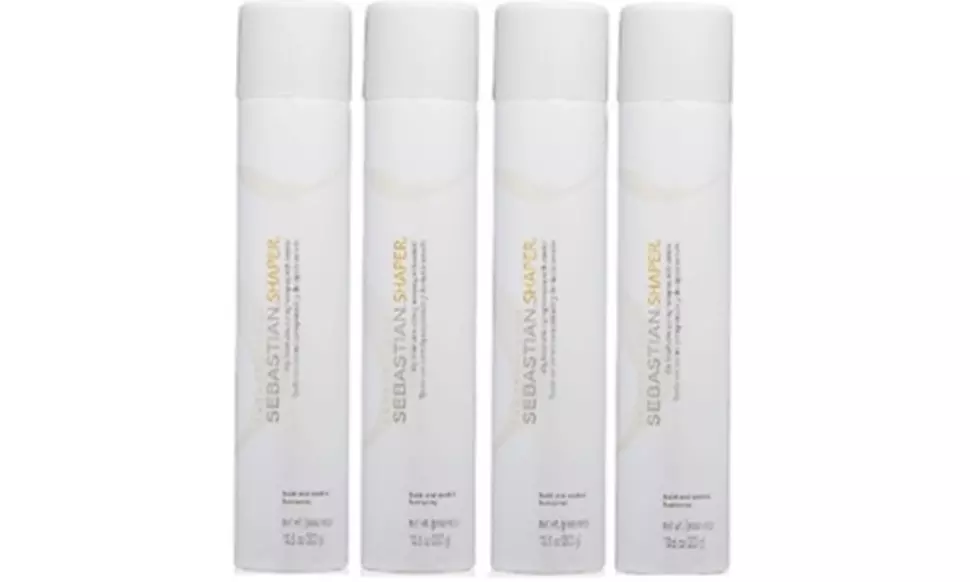 Sebastian Professional Shampoo, Conditioner & Hairspray