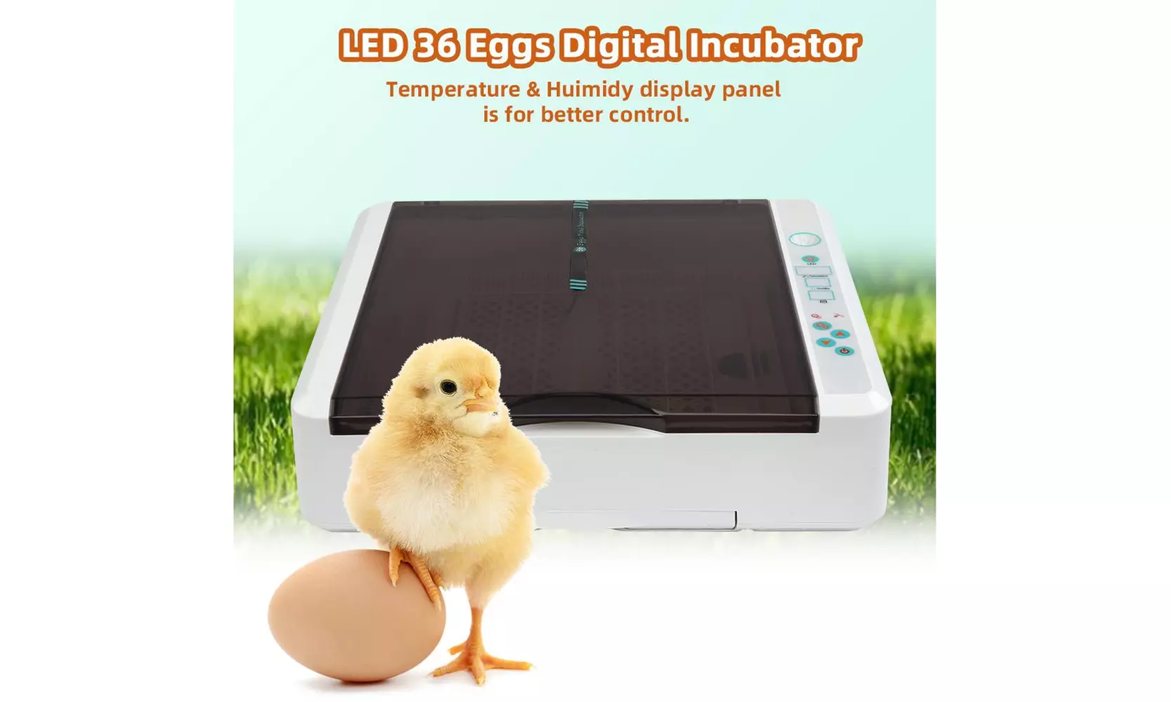 36 Digital Egg Incubator Hatcher Temperature Control Automatic Turning - Primary Image